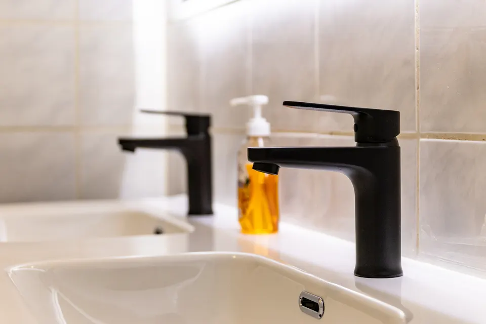 Badkamer met dubbele wastafel en zwarte kranen