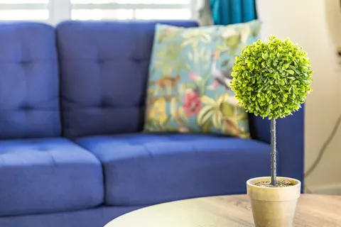 Blauwe bank met tropisch kussen