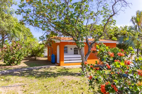De bungalow vanuit de groene tuin gezien