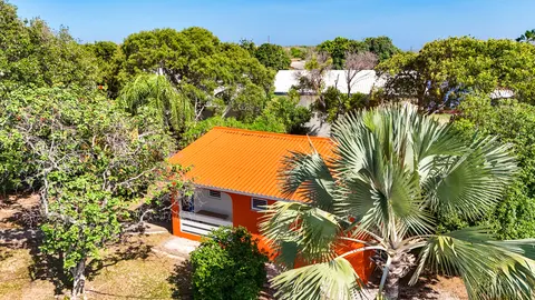 Dronefoto van het oranje dak van Soñora tussen de bomen
